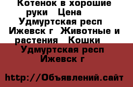 Котенок в хорошие руки › Цена ­ 1 - Удмуртская респ., Ижевск г. Животные и растения » Кошки   . Удмуртская респ.,Ижевск г.